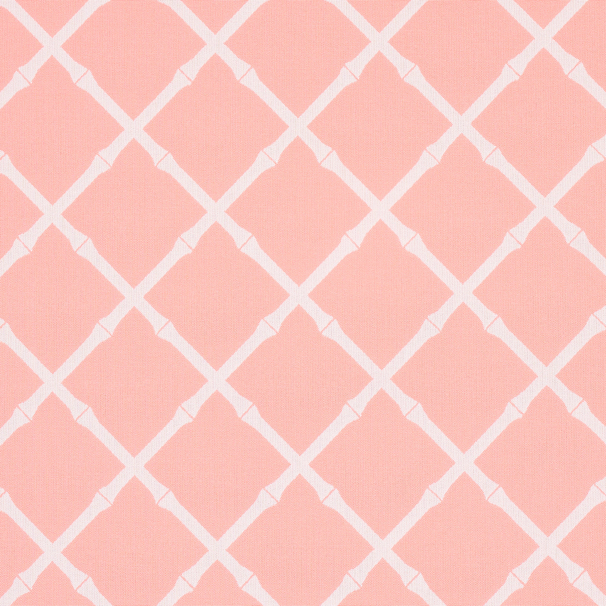 Purchase 82761 Bamboo Trellis Indoor/Outdoor, Pink by Schumacher Fabric