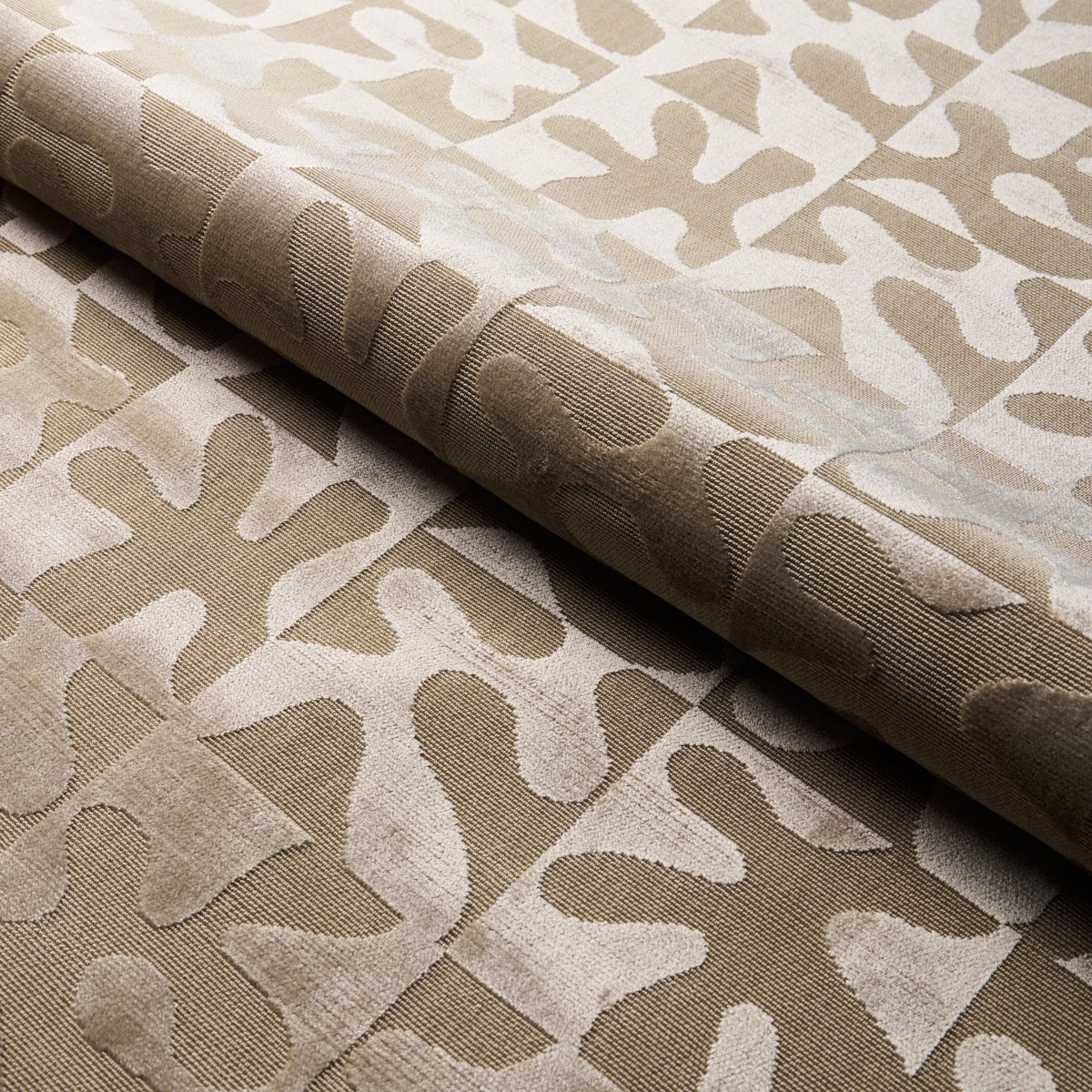 Purchase 82991 Modern Dance Velvet, Champagne by Schumacher Fabric
