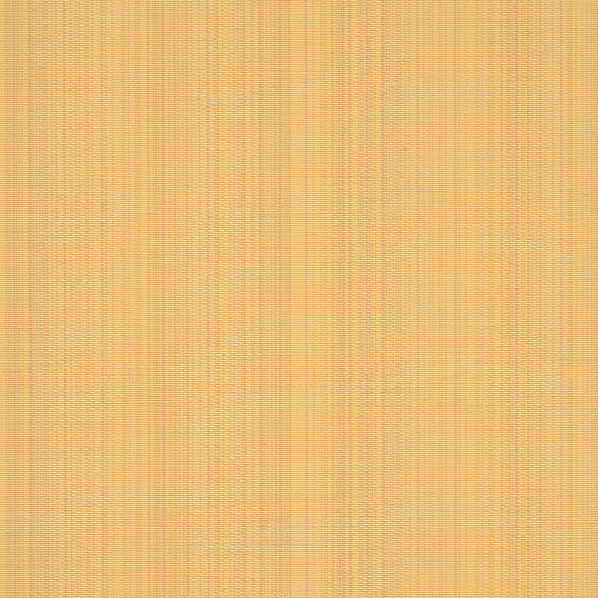 Purchase 83725 | Gracie Solid Strie, Yellow - Schumacher Fabric