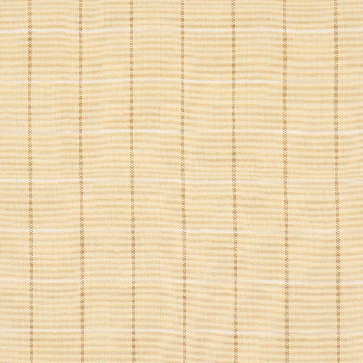 Purchase 83780 | Frannie Windowpane, Camel - Schumacher Fabric