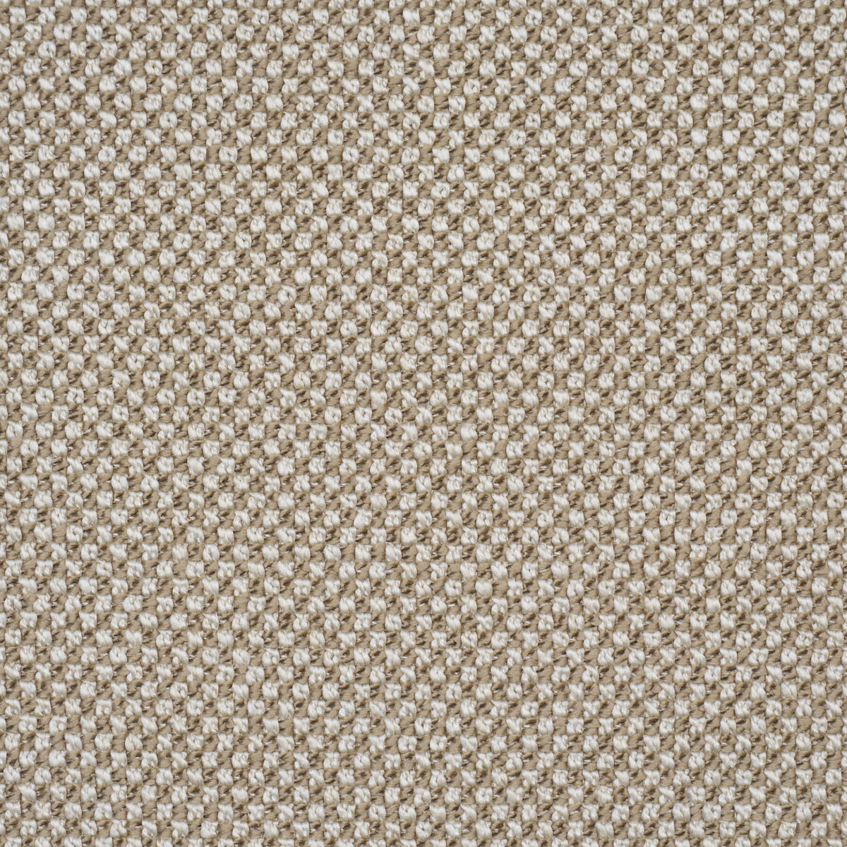 Purchase 86262 | Raye Performance, Sand - Schumacher Fabric