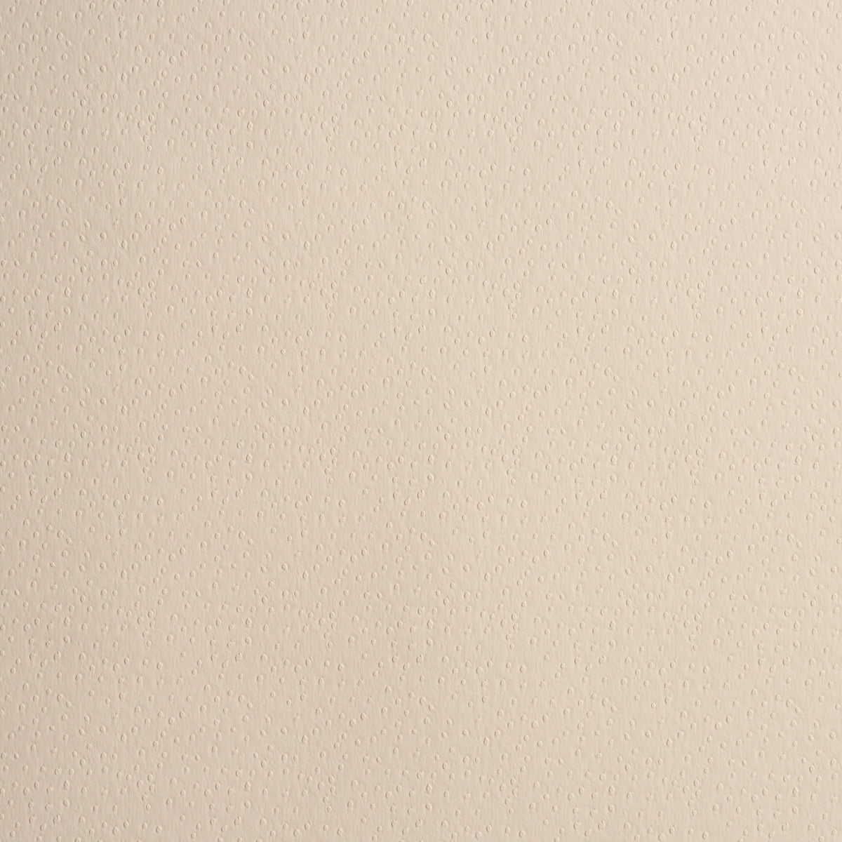 Purchase 87281 | Ostrich Vegan Leather, Cream - Schumacher Fabric