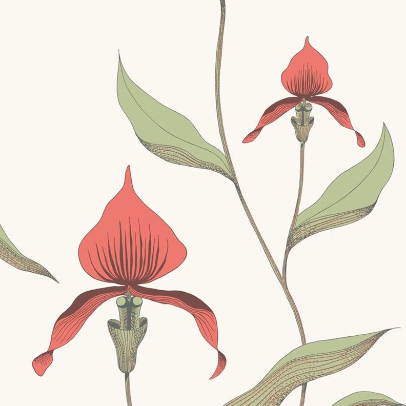 Sample 95/10054 Orchid Cole and Son Wallpaper