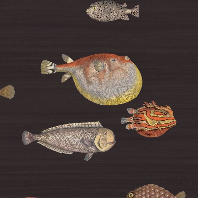 Sample 97/10048 Acquario Cole and Son Wallpaper
