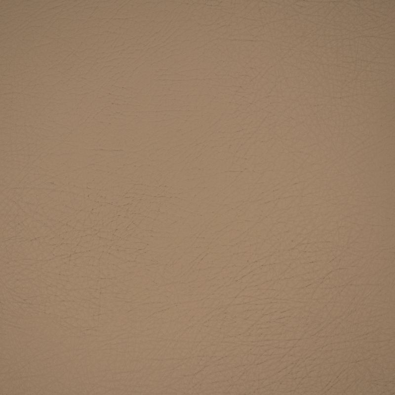 Purchase Greenhouse Fabric A9234 Ash