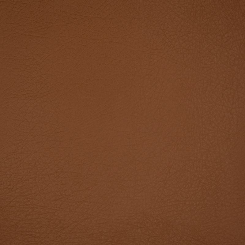 Purchase Greenhouse Fabric A9250 Cognac