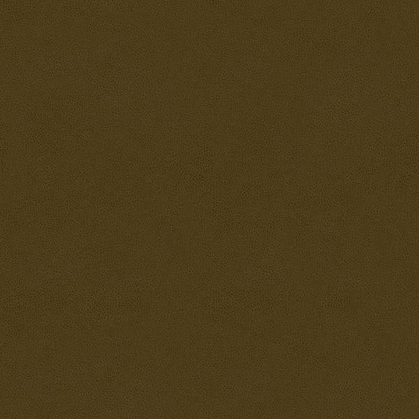 Sample - Abilene.21.0 | Abilene, - Kravet Contract Fabric