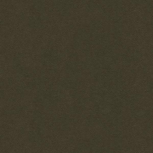 Sample - Abilene.66.0 | Abilene, - Kravet Contract Fabric