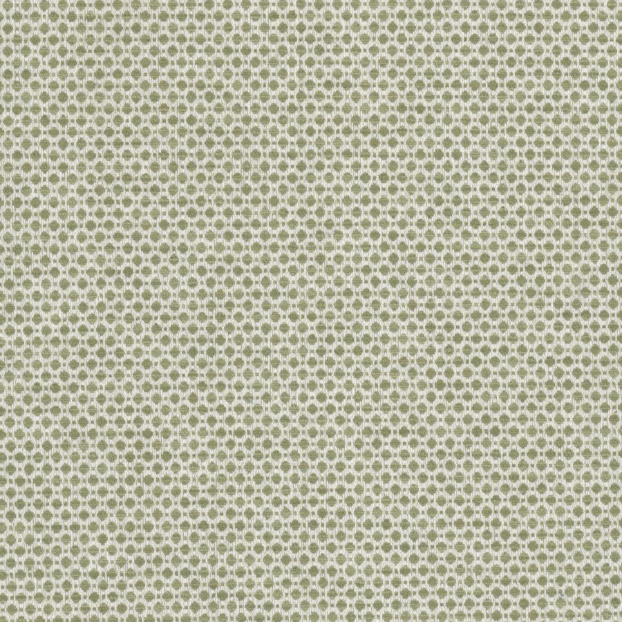 Purchase Stout Fabric SKU Abloom 2 Apple
