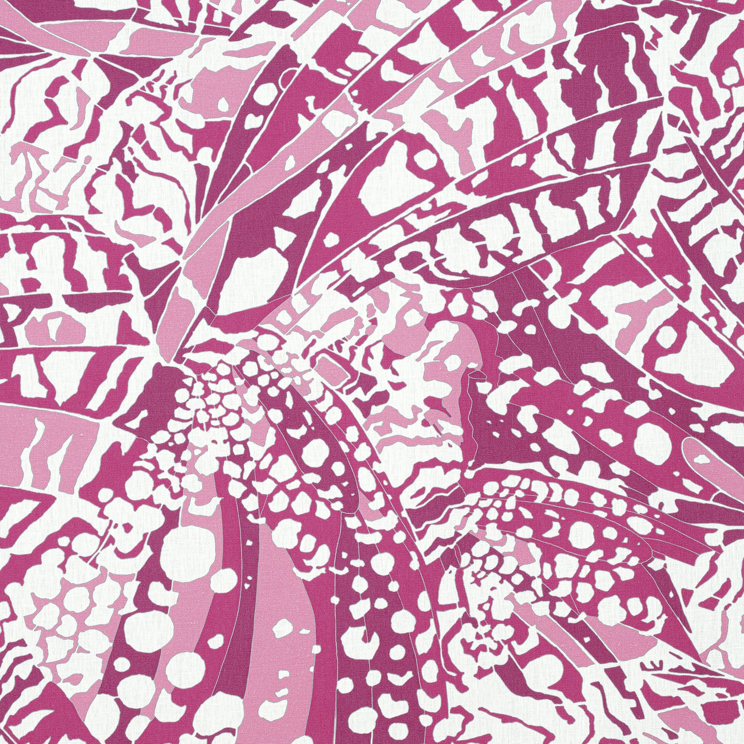 Purchase Ann French Fabric Pattern# AF9861 pattern name Puccini
