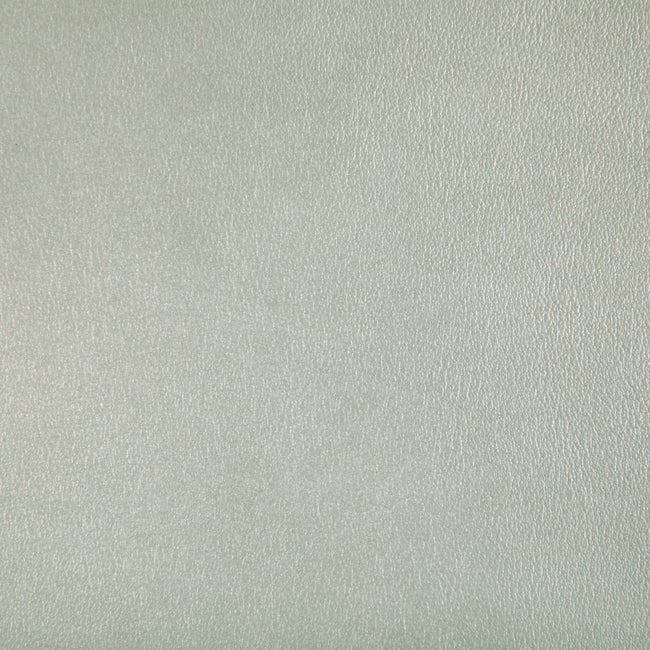 Purchase Agatha.1.0 Agatha, - Kravet Contract Fabric