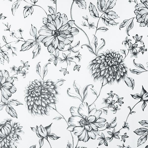 Purchase AH692507 Brewster Wallpaper, Della Black Floral Trail - Arthouse