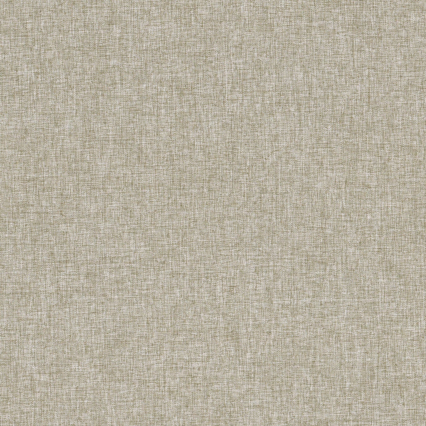 Purchase Stout Fabric Pattern# Alfie 3 Cashew