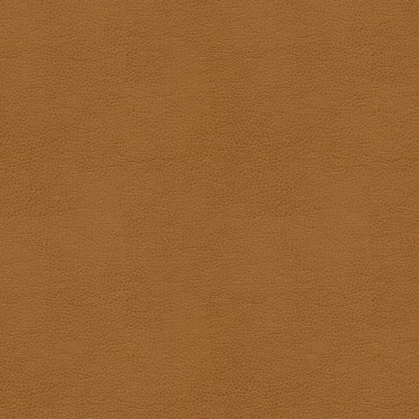 Sample - Alina.16.0 | Kravet Smart, - Kravet Smart Fabric
