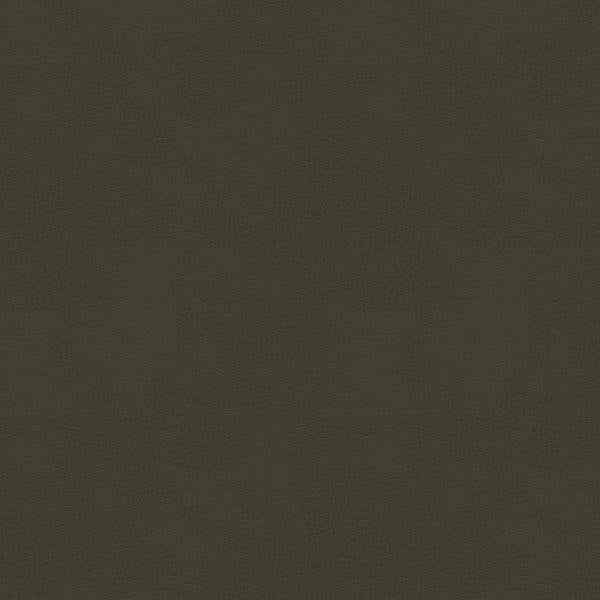 Sample - Alina.21.0 | Kravet Smart, - Kravet Smart Fabric
