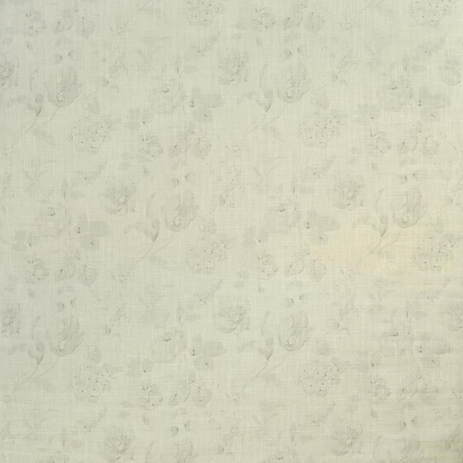 Sample AM100336.1.0 NARIKALA, CLOUD by Kravet Couture Fabric