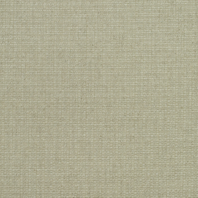 Purchase Am100390.106.0 Birch, Andrew Martin Woodland By Sophie Paterson - Kravet Couture Fabric