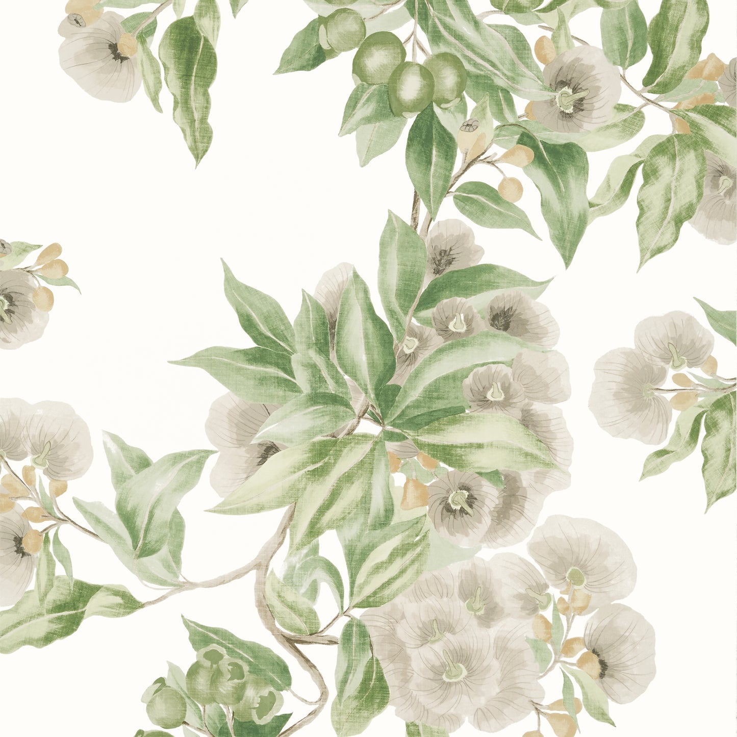 Purchase Ann French Wallpaper Pattern AT24551 pattern name Camellia Garden