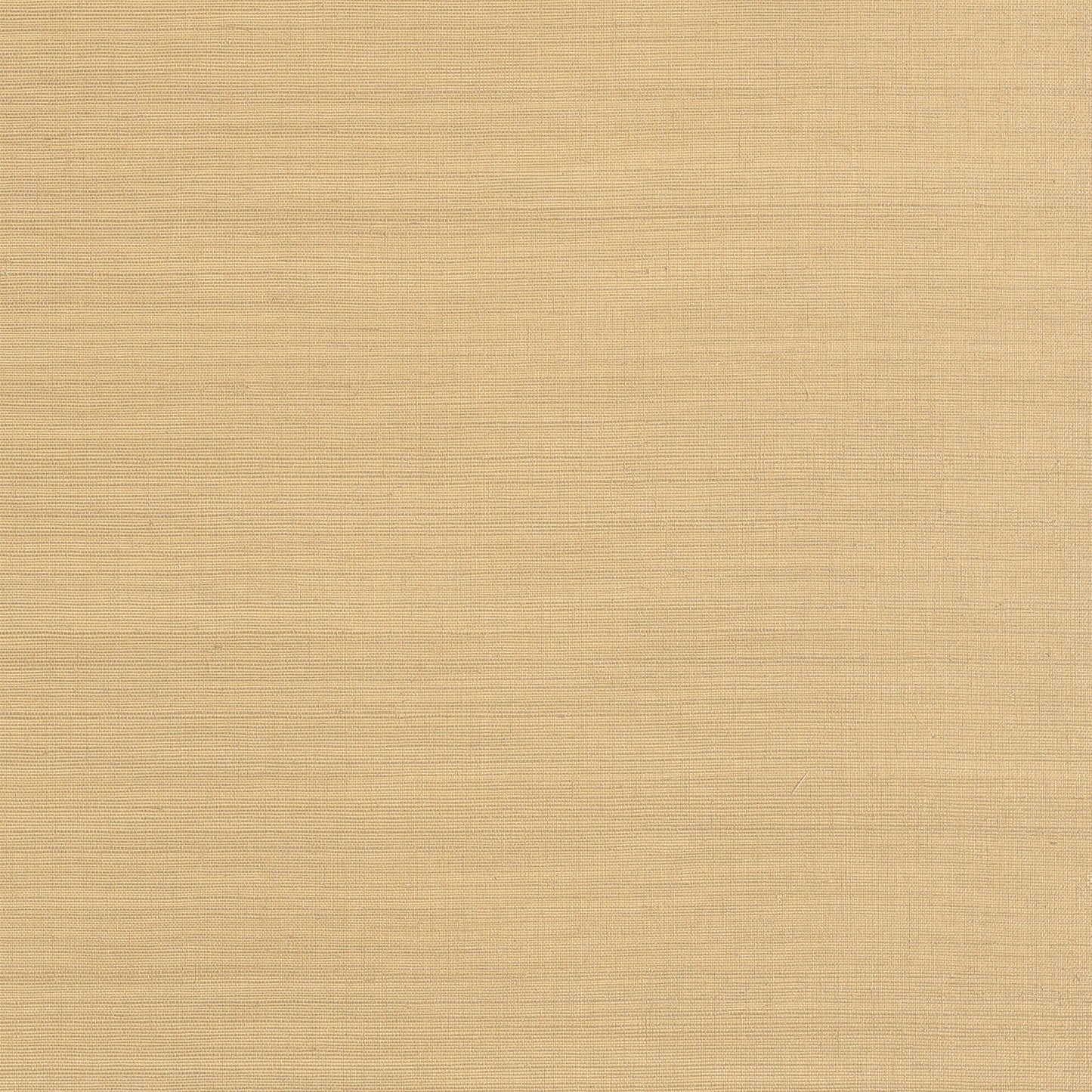 Purchase Ann French Wallpaper Pattern AT34101 pattern name Cholla Sisal