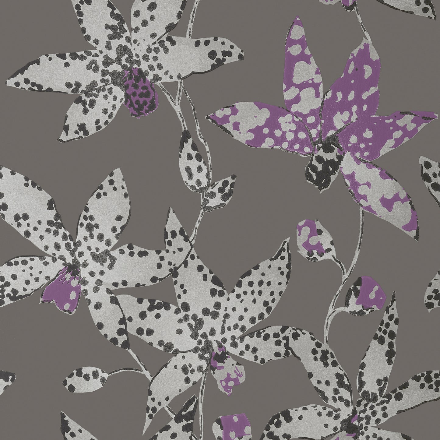 Purchase Ann French Wallpaper SKU AT6047 pattern name Spotted Orchid