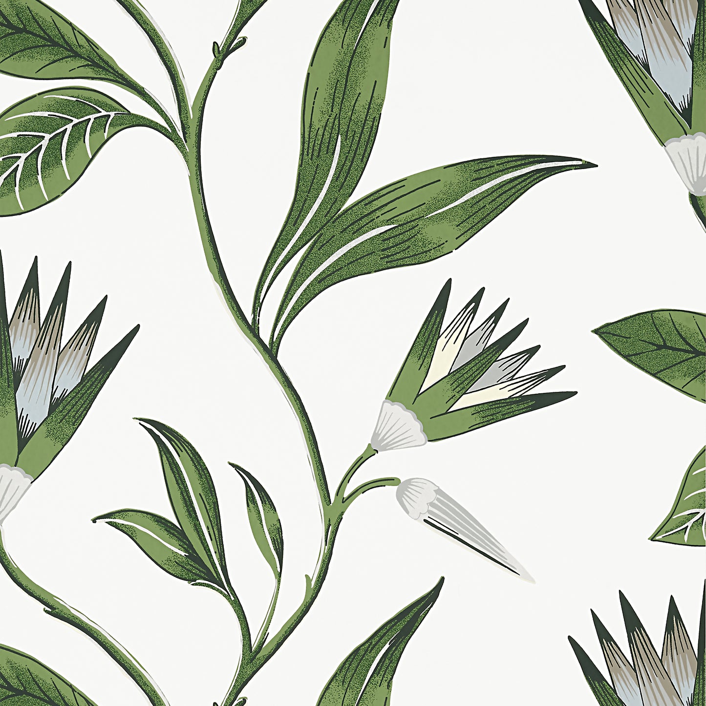 Purchase Ann French Wallpaper Item# AT9622 pattern name Cleo Vine