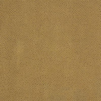 Purchase Beautymark.6.0 Beautymark, - Kravet Couture Fabric