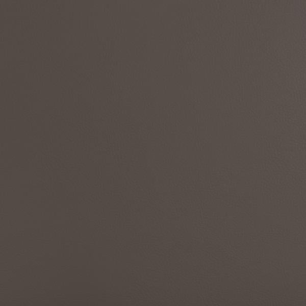Sample - Beech.21.0 | Kravet Design, Faux Leather Iv - Kravet Design Fabric