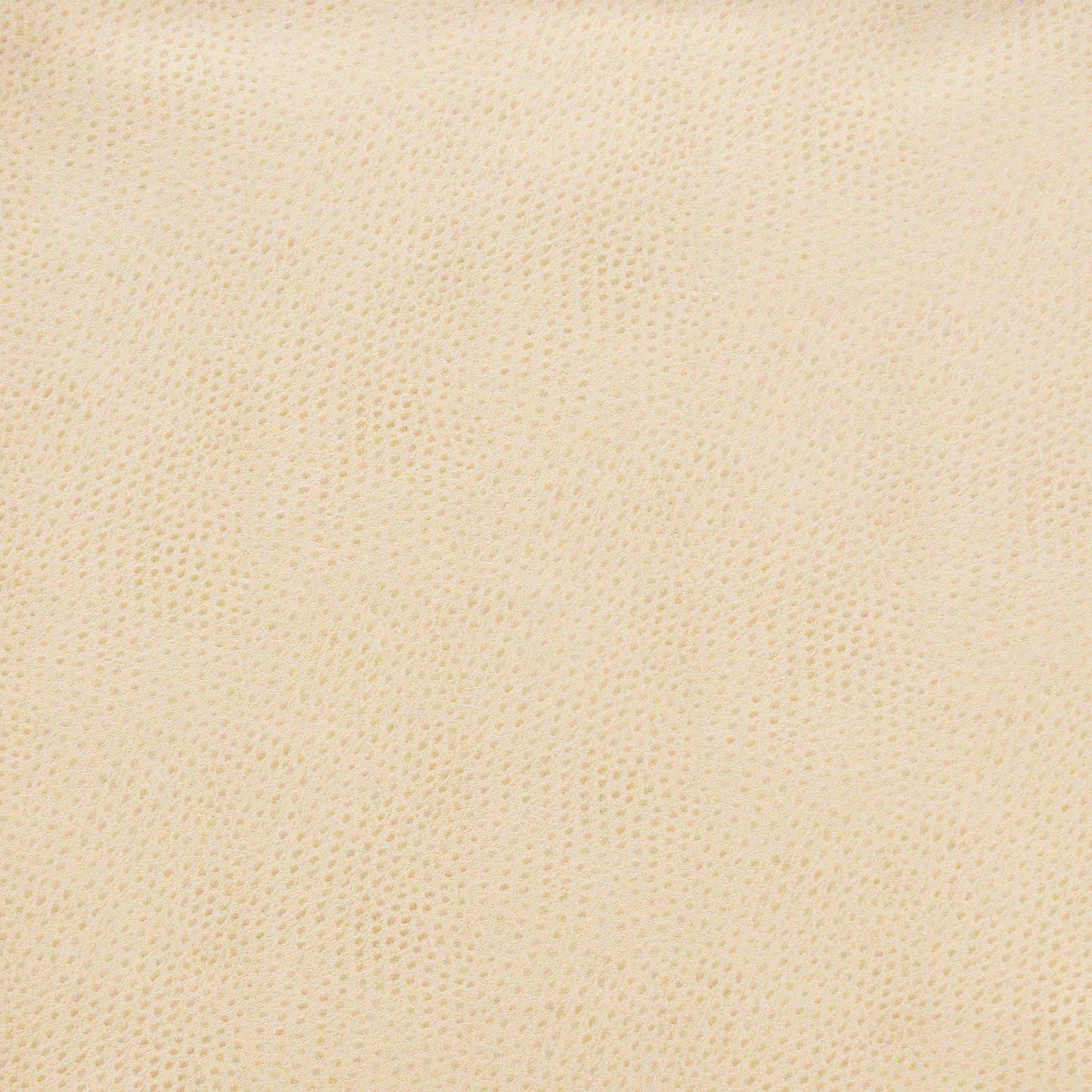 Buckeye | # 702 Marshmallow - Maxwell Fabric