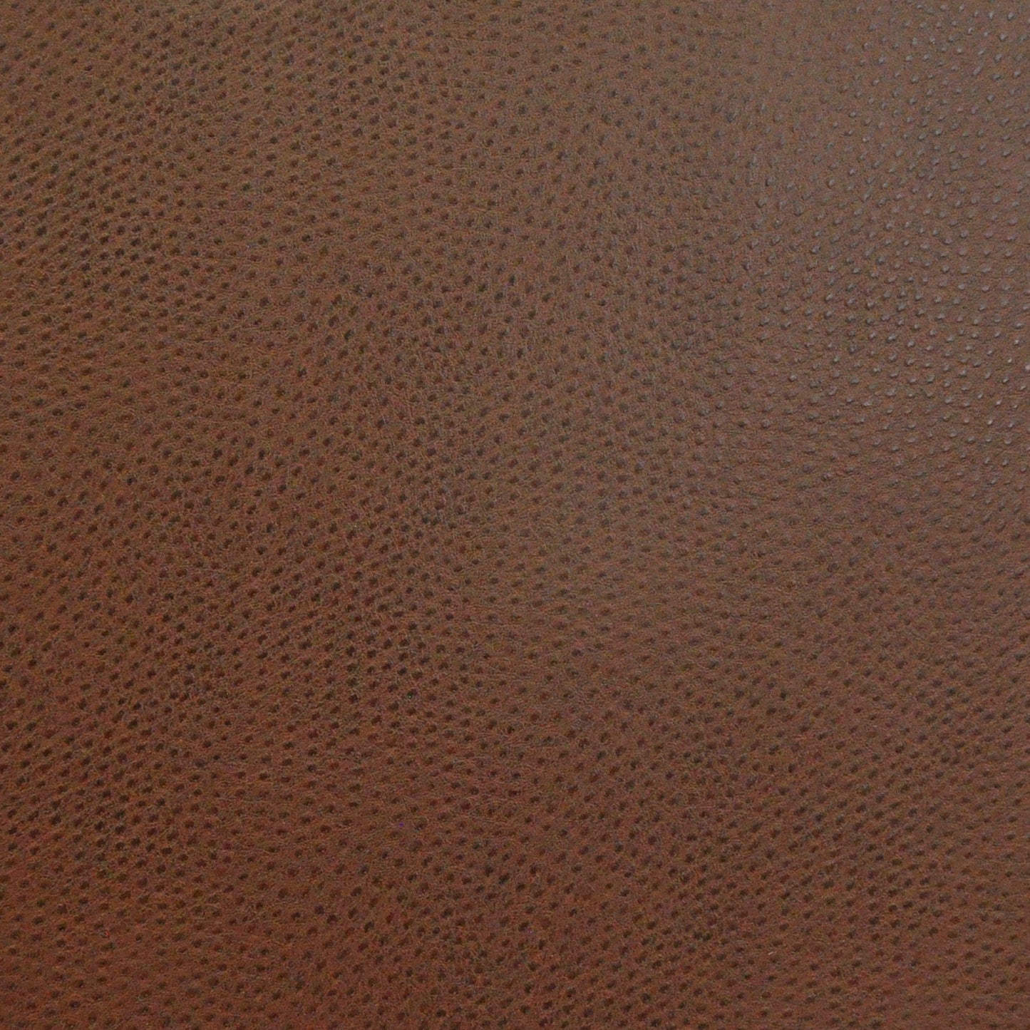 Buckeye | # 719 Fudge - Maxwell Fabric