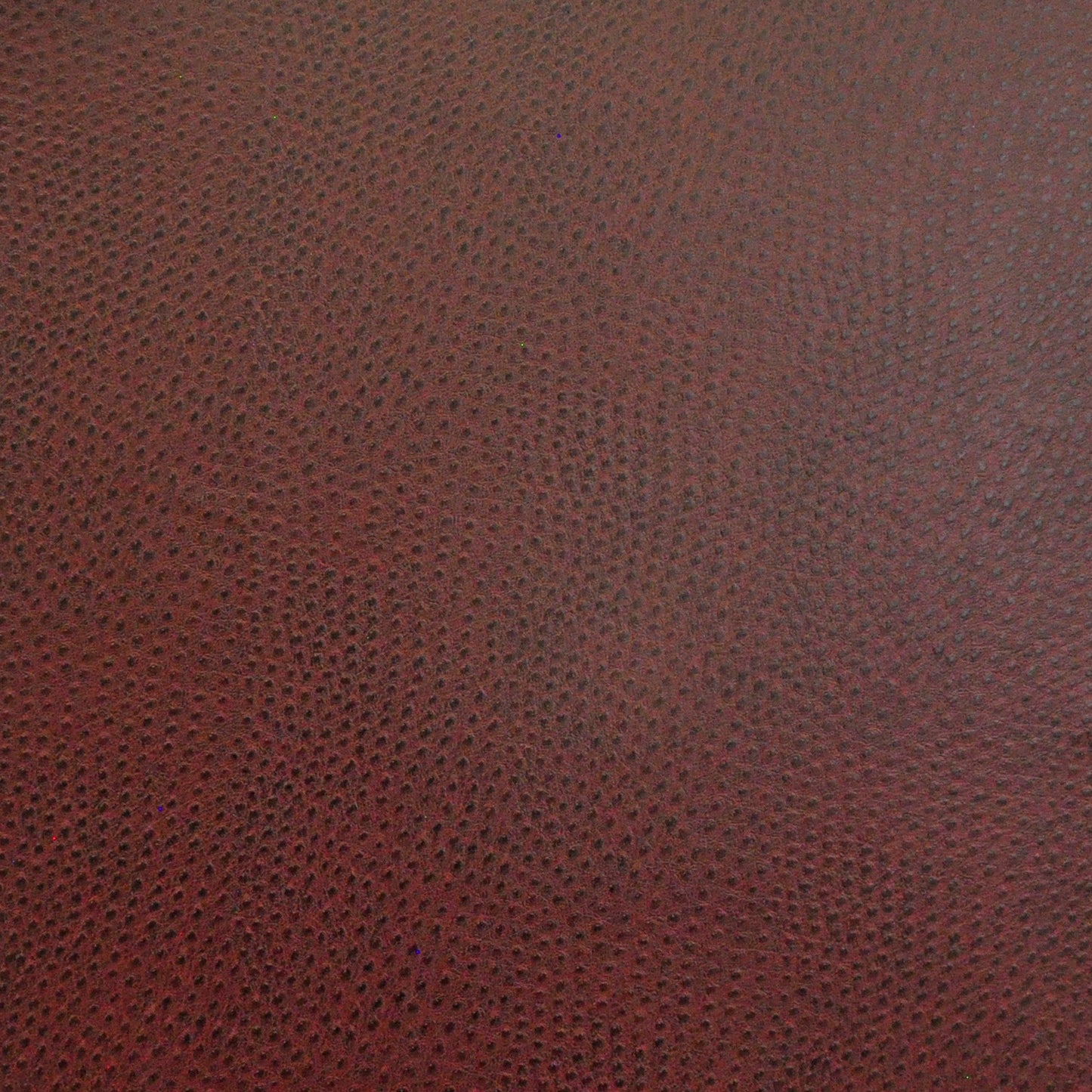 Buckeye | # 723 Sangria - Maxwell Fabric