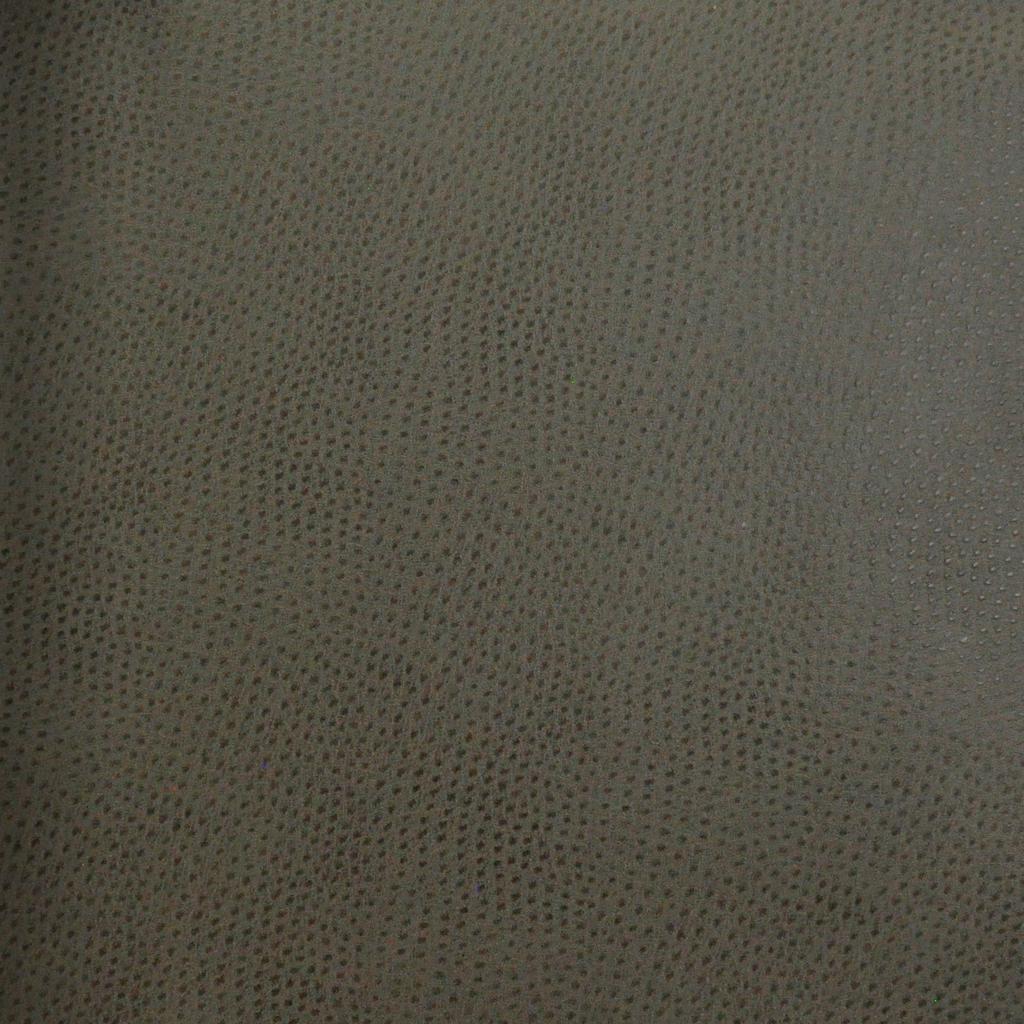 Buckeye | # 741 Pewter - Maxwell Fabric