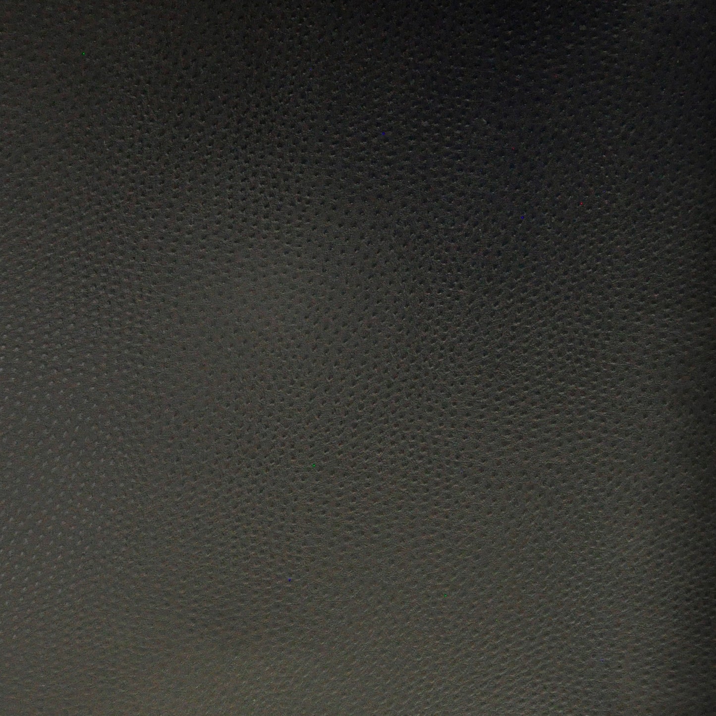 Buckeye | # 748 Raven - Maxwell Fabric