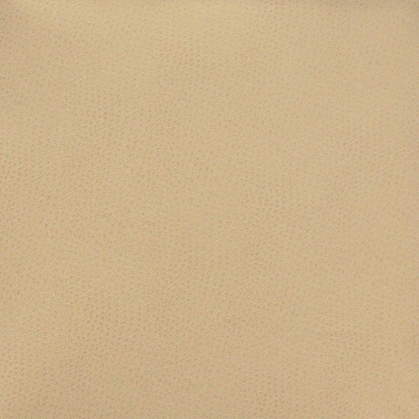 Buckeye | # 764 Sand - Maxwell Fabric