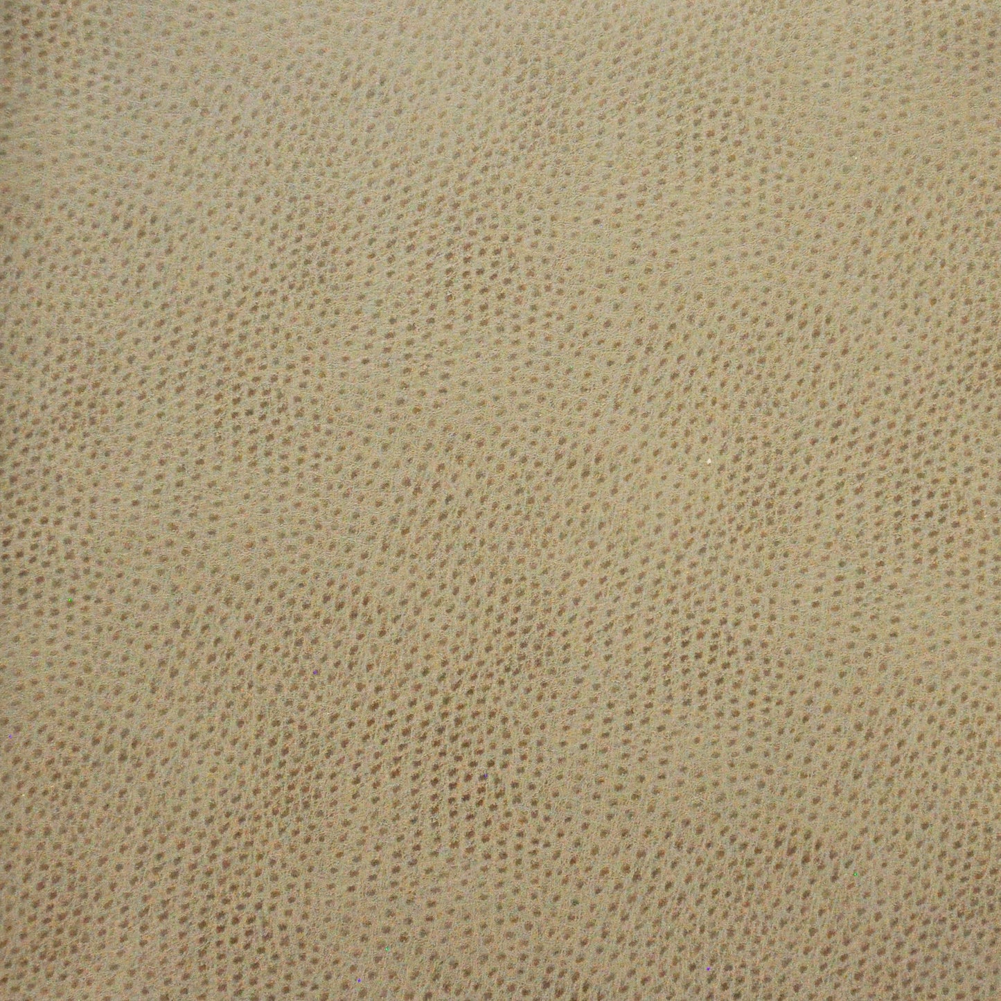 Buckeye | # 766 Haze - Maxwell Fabric