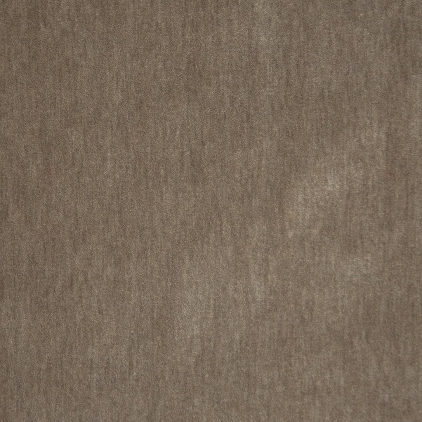 Purchase Maxwell Fabric - Belluno, # 101 Greyhound