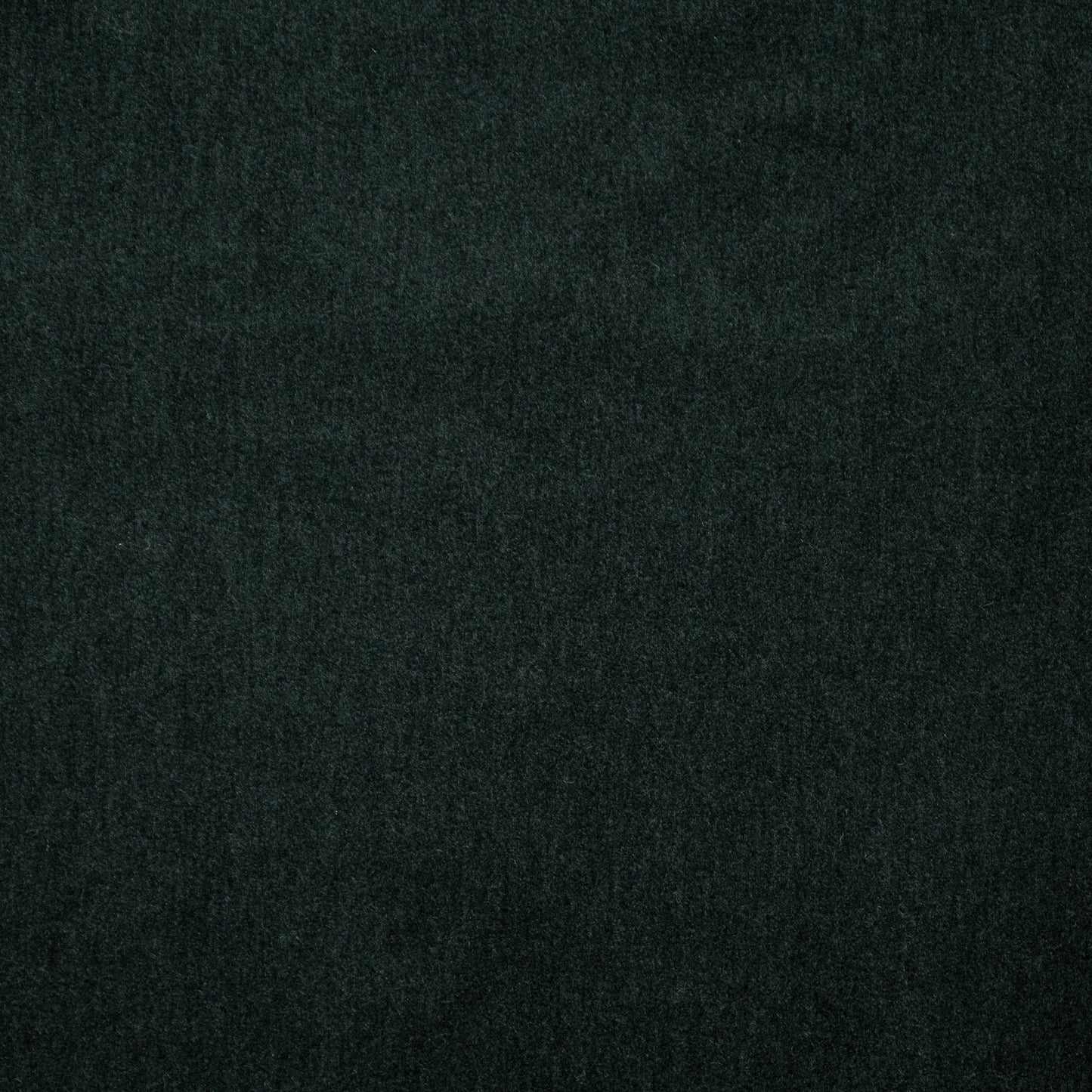 Purchase Maxwell Fabric - Belluno, # 102 Caviar