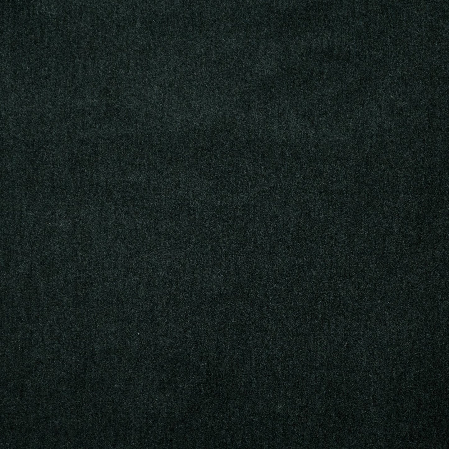 Purchase Maxwell Fabric - Belluno, # 102 Caviar