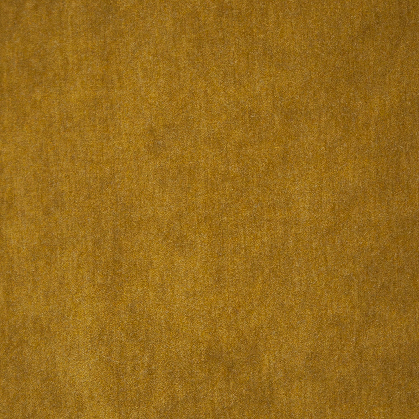 Purchase Maxwell Fabric - Belluno, # 108 Gold