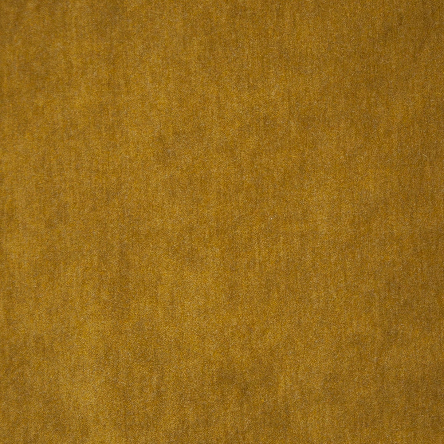 Purchase Maxwell Fabric - Belluno, # 108 Gold