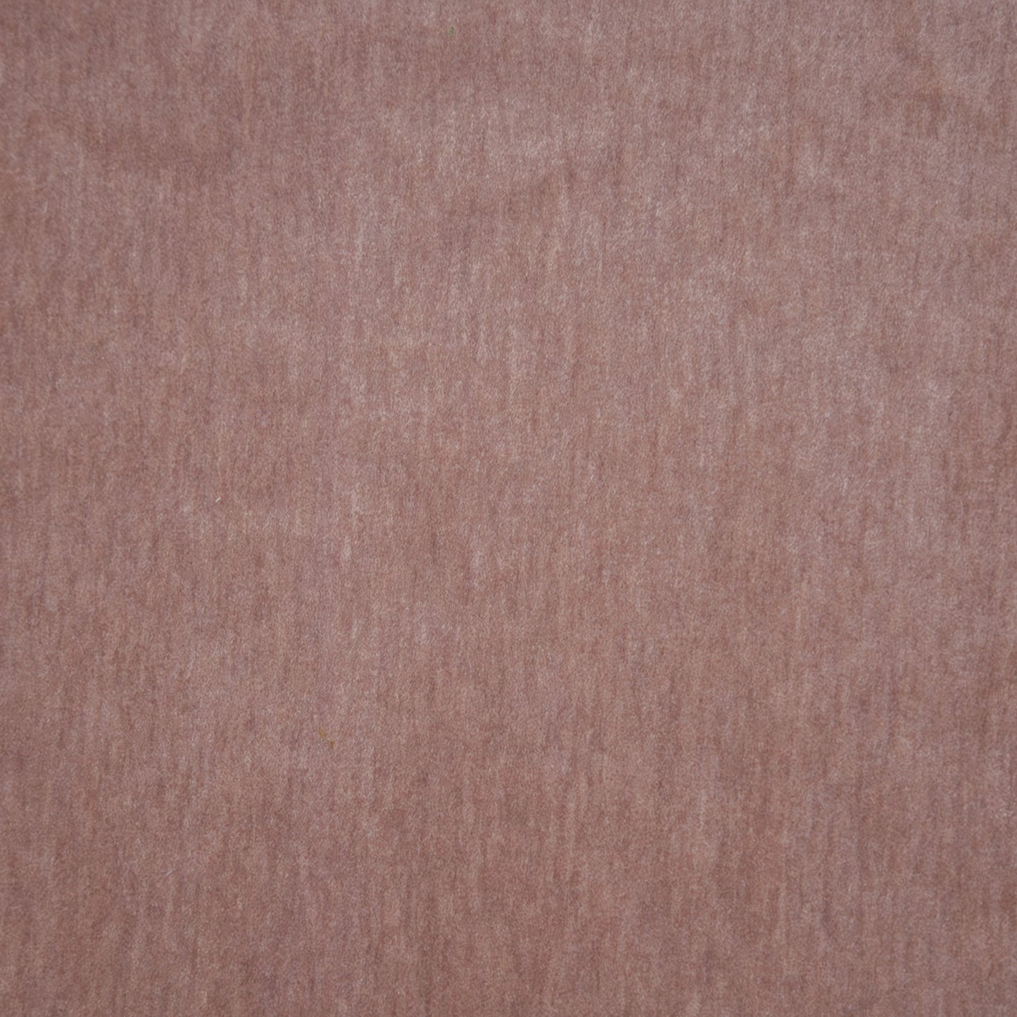 Purchase Maxwell Fabric - Belluno, # 114 Ballerina