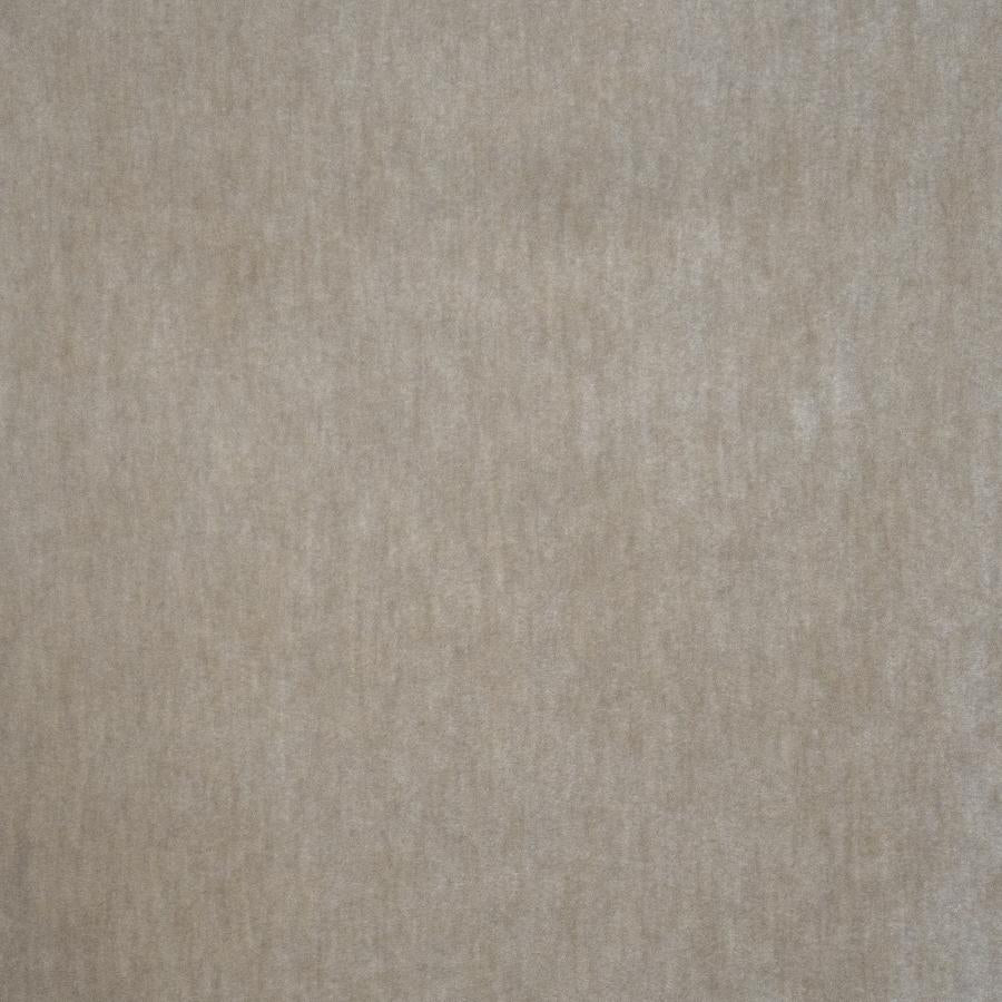 Purchase Maxwell Fabric - Belluno, # 116 Dove