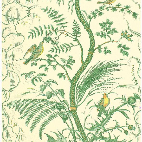 Find BR-69518.435 Bird And Thistle Green by Brunschwig Fils