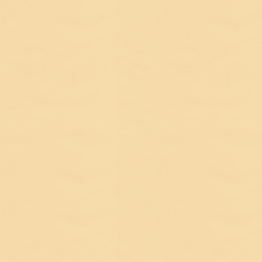 Acquire BR-81081-PPA Ninon Taffetas Beige by Brunschwig & Fils Fabric