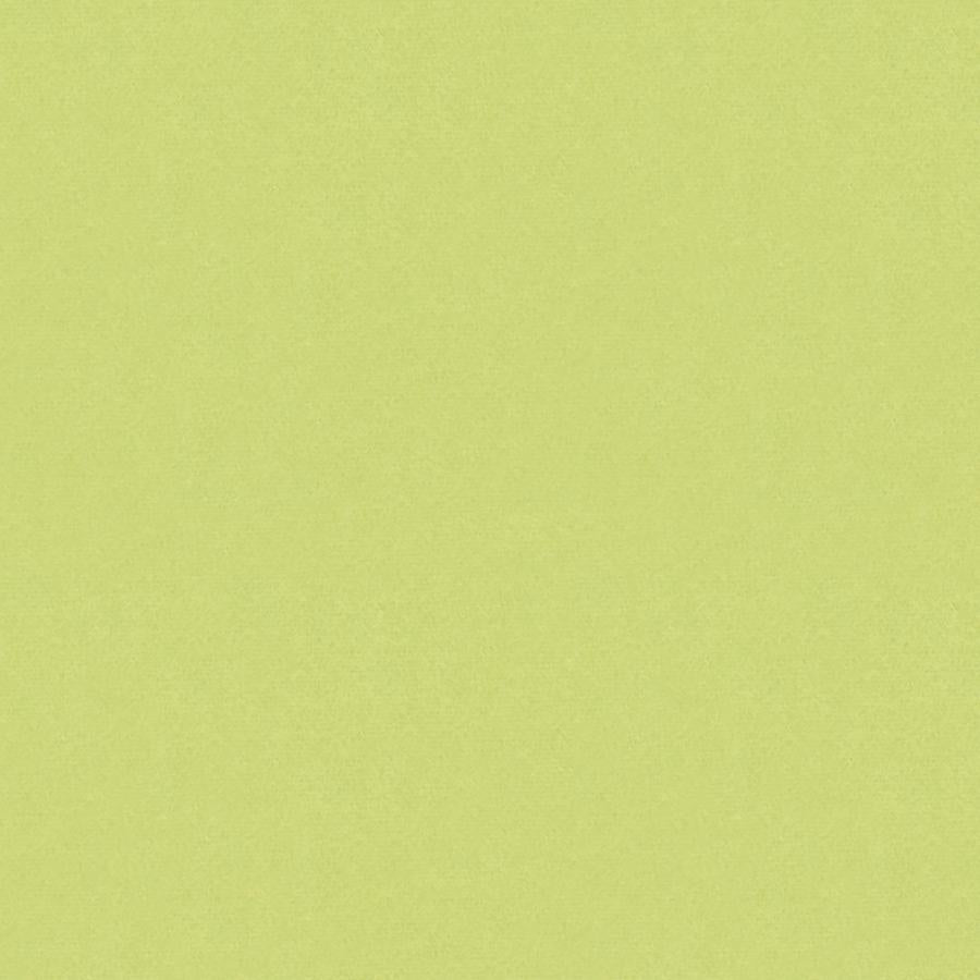 Search BR-89778-404 Autun Mohair Velvet Celery Solid by Brunschwig & Fils Fabric