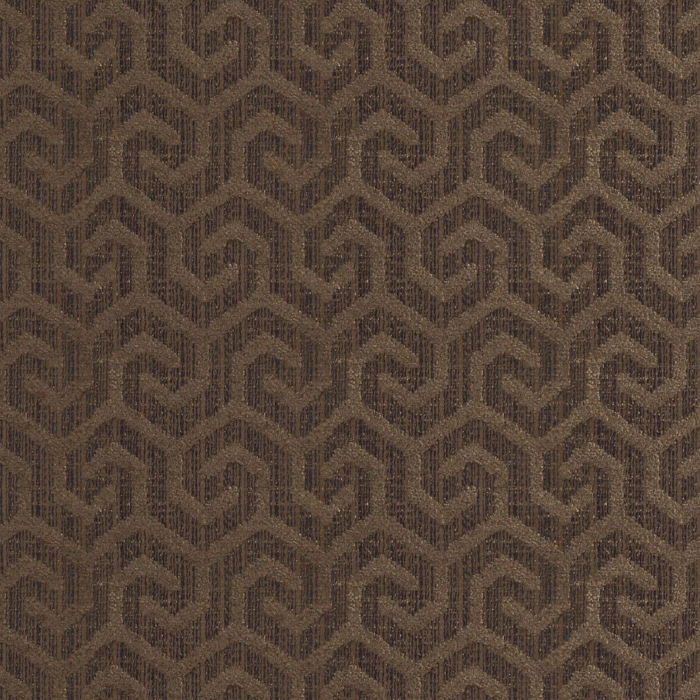 Camino | # 360 Pinecone - Maxwell Fabric