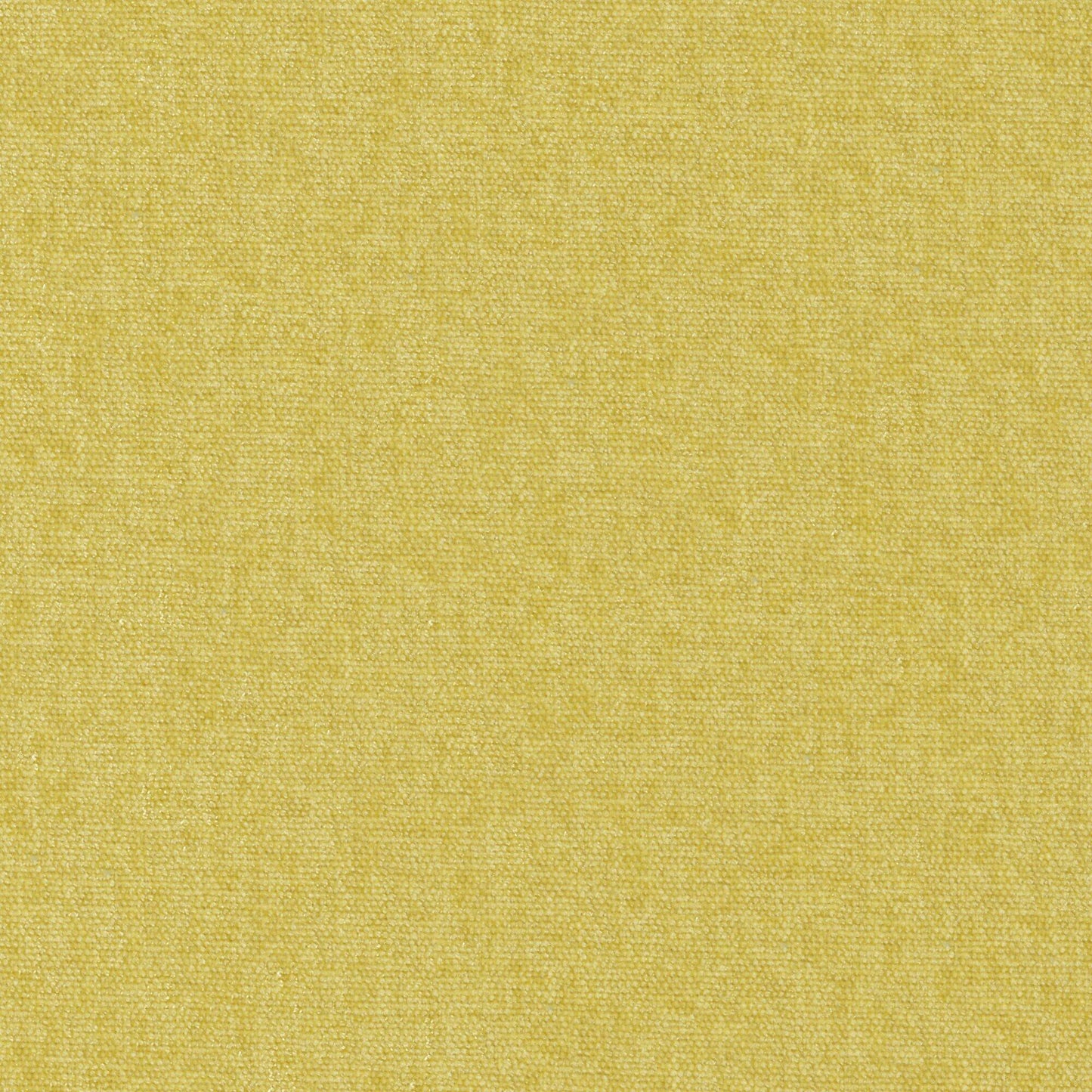 Purchase Maxwell Fabric - Conte, # 805 Linden