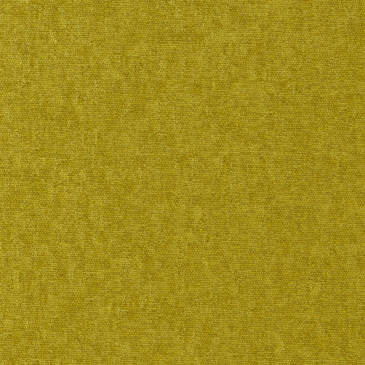 Purchase Maxwell Fabric - Conte, # 806 Turtle