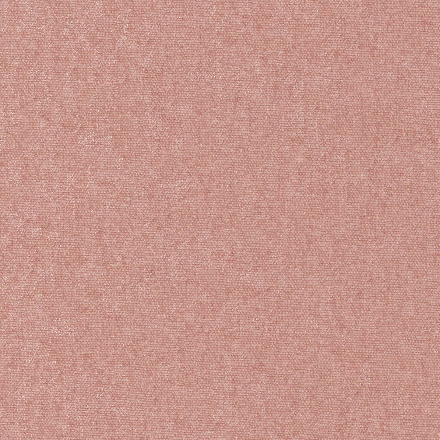 Conte | # 882 Blossom - Maxwell Fabric