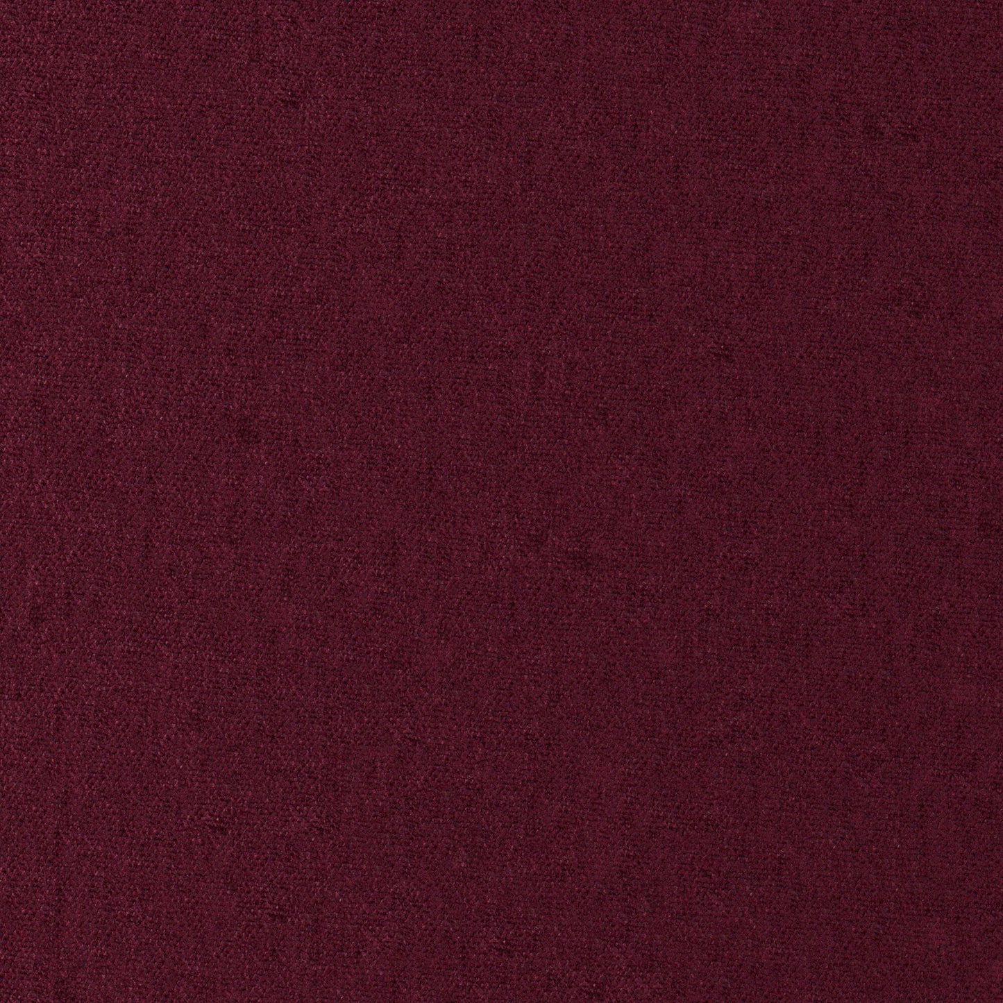 Conte | # 886 Bordeaux - Maxwell Fabric