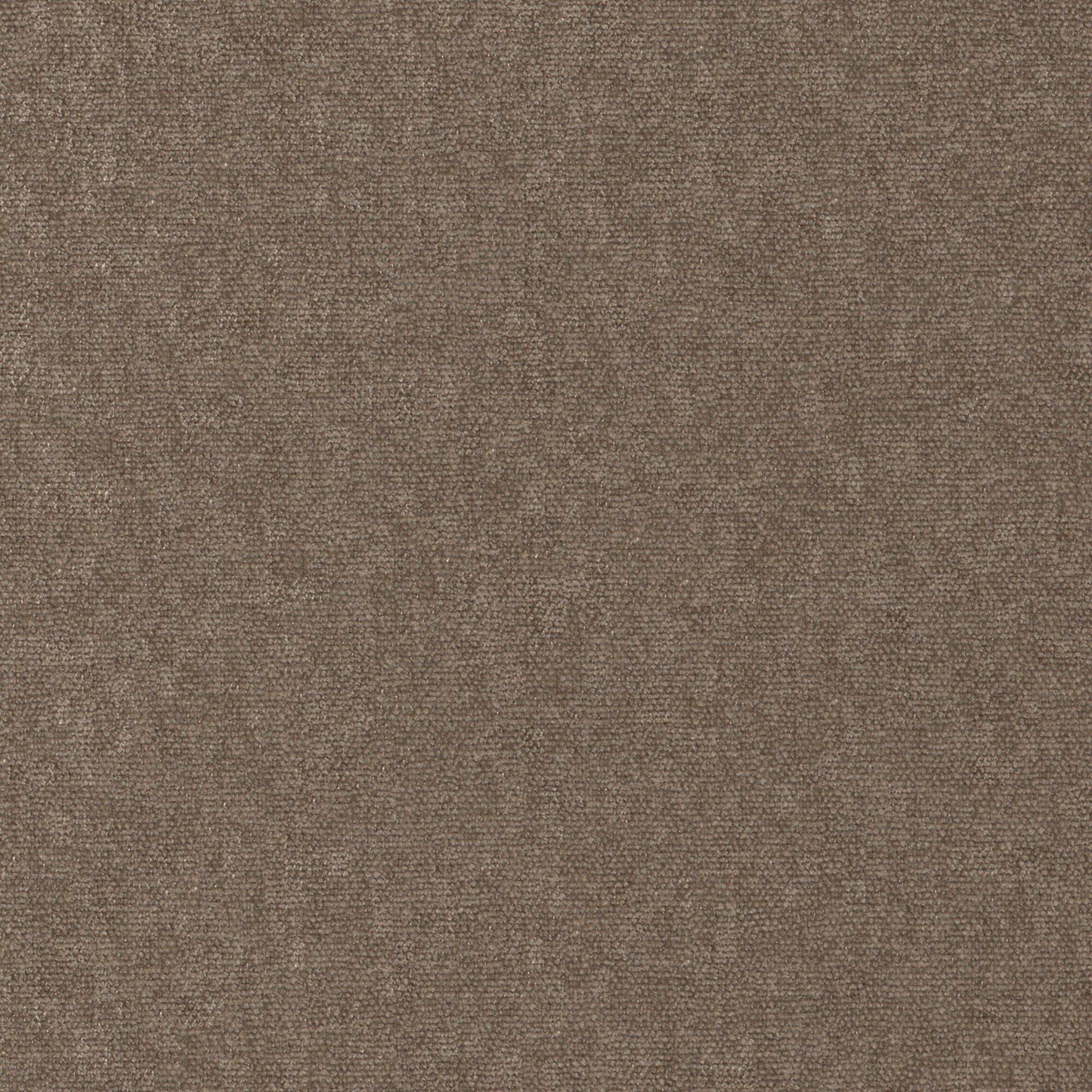 Conte | # 911 Beaver - Maxwell Fabric